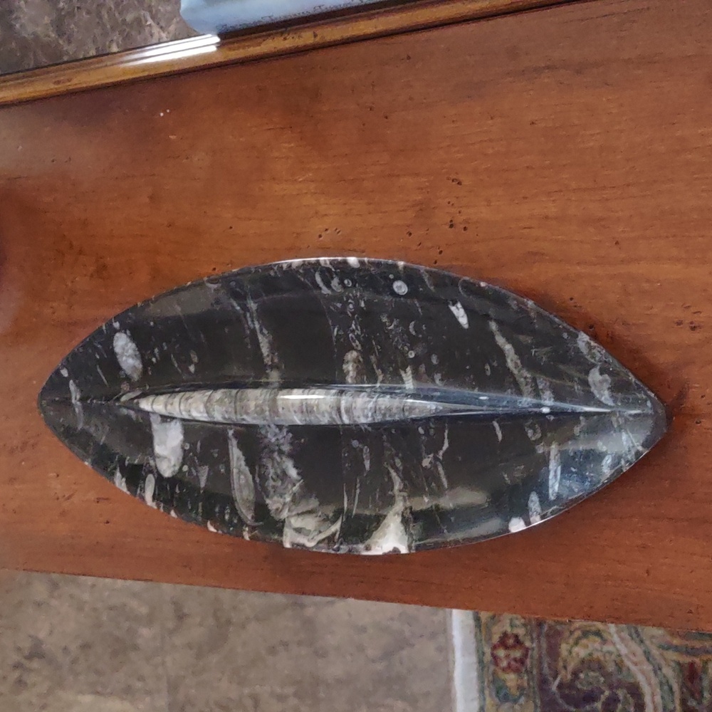 Fossil